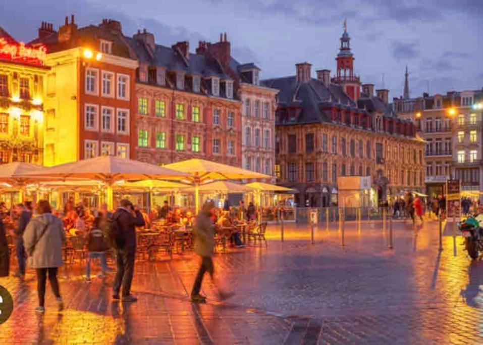 Appartement F3 & Solferino Lille Bagian luar foto