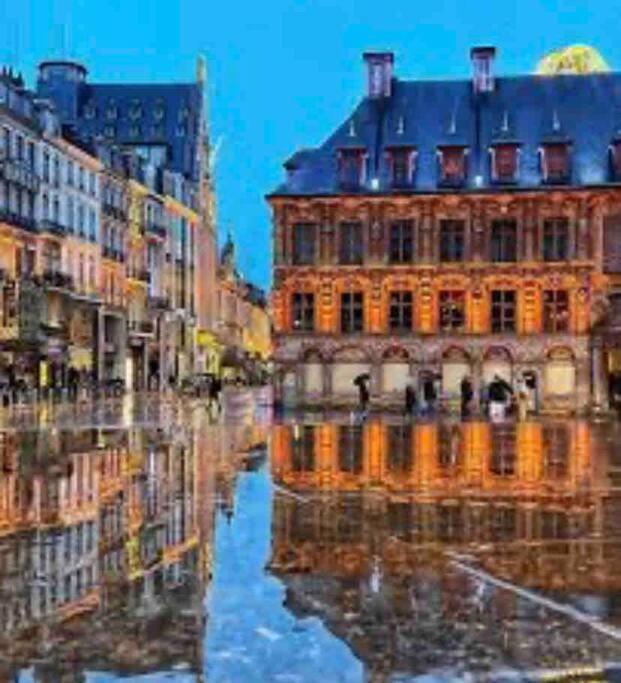 Appartement F3 & Solferino Lille Bagian luar foto