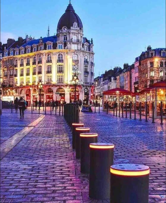 Appartement F3 & Solferino Lille Bagian luar foto